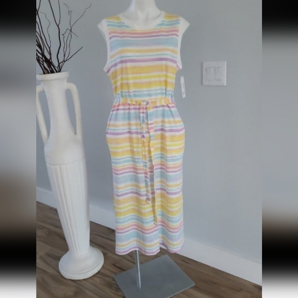 Time and Tru dress XL